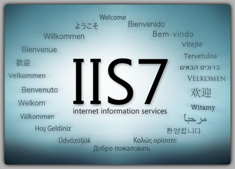 Windows Server 2008 R2 IIS  7.0  Web Sitesi Yayınlama ve DNS Host Name Kaydı