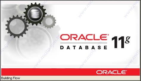 Windows Server 2012 üzerine Oracle 11g Release 2 kurulumu
