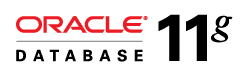 Oracle 11g Yeni Database Oluşturma