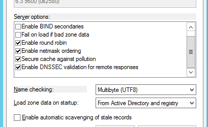 DNS Cache Kirliliği (DNS Cache Against Pollution)