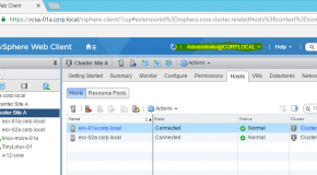 VCenter 6.5 Single Sign-On ekranında “Use Windows Session authentication” aktifleştirme.